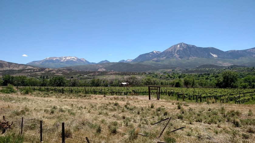 IMG_20180525_130133264