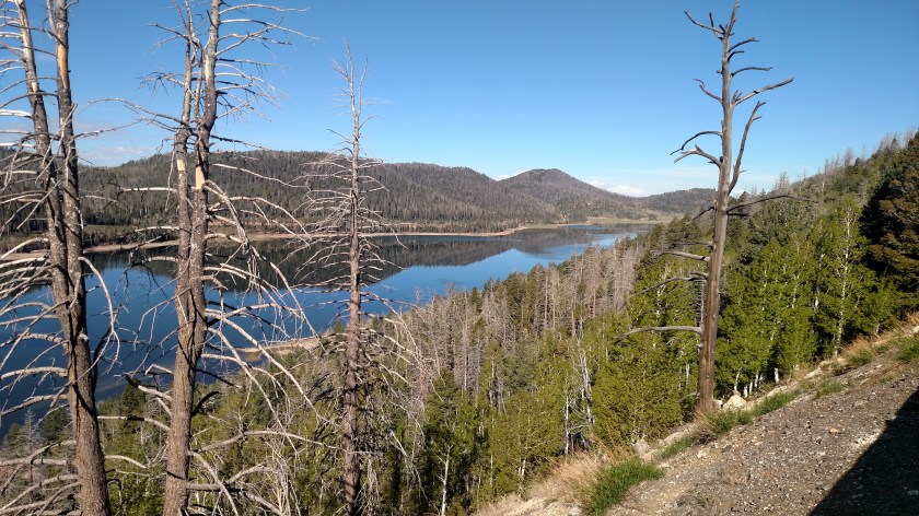 IMG_20180530_085426222