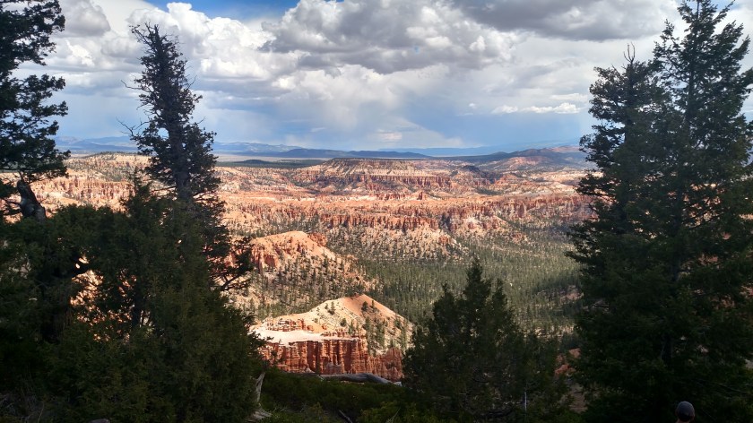 IMG_20180530_114443848_HDR