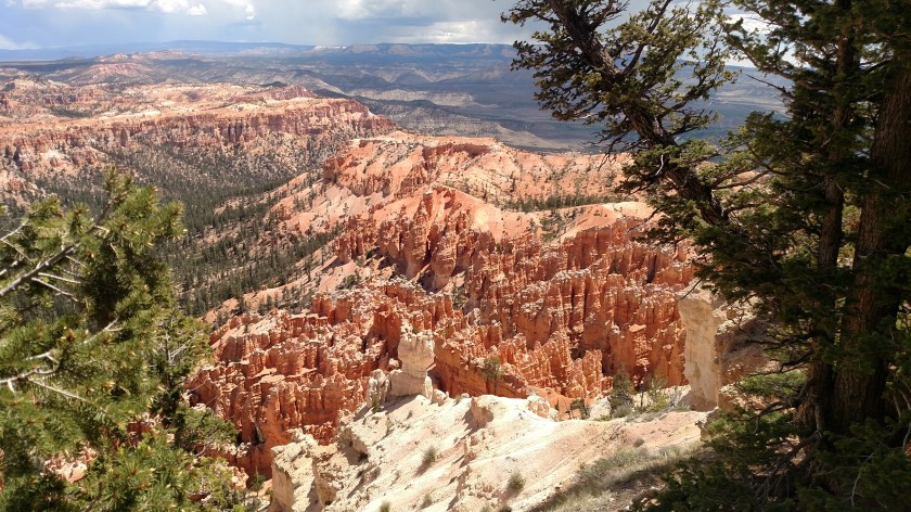 IMG_20180530_115800694