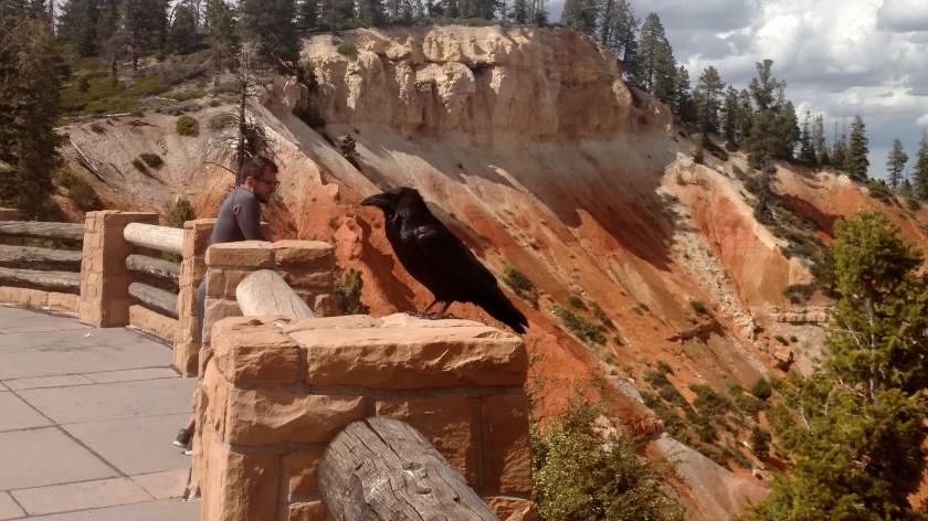 IMG_20180530_161458279