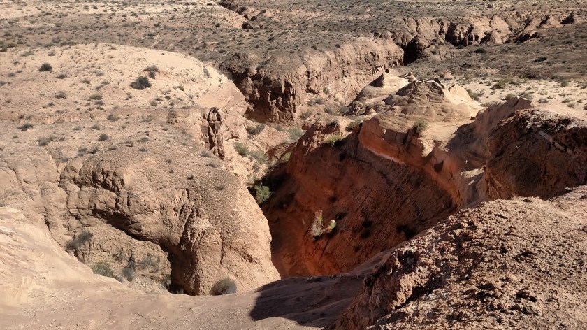 IMG_20180528_095446488