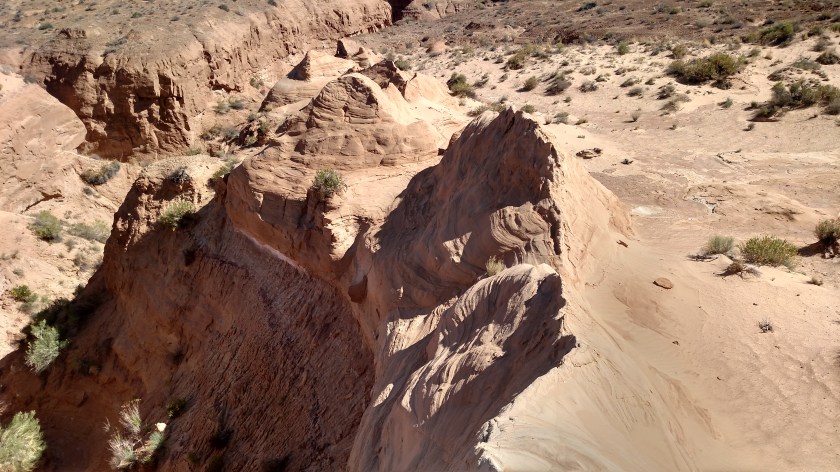 IMG_20180528_095526168_HDR