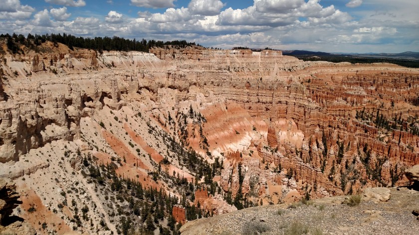 IMG_20180530_120151193