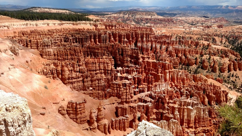 IMG_20180530_123151996