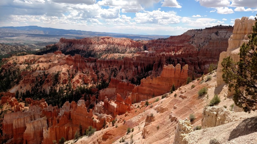 IMG_20180530_123244580