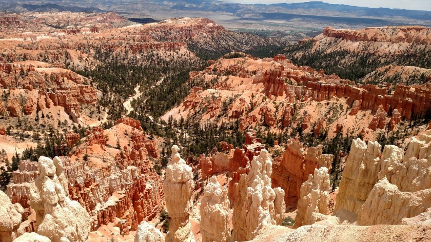 IMG_20180530_124543449