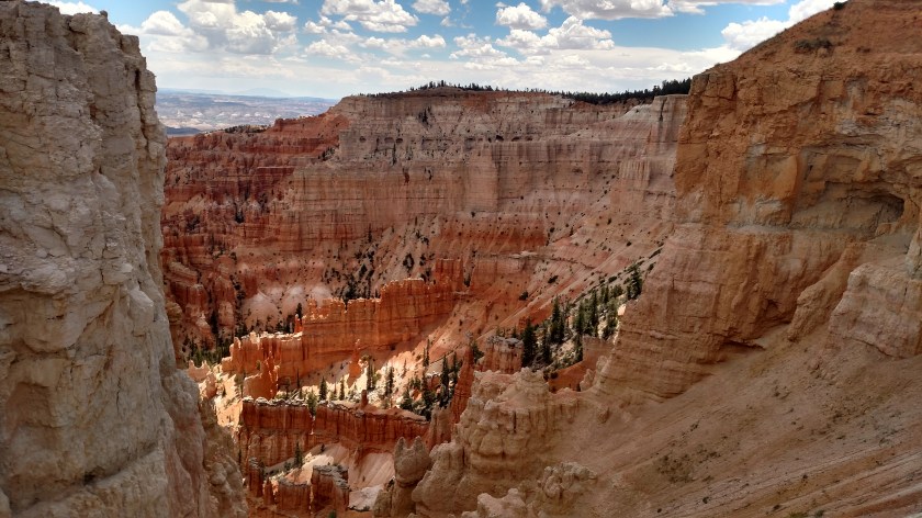 IMG_20180530_124838313_HDR