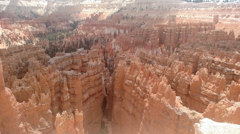 IMG_20180530_132947778