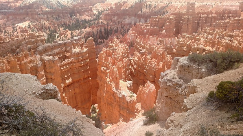 IMG_20180530_133019404