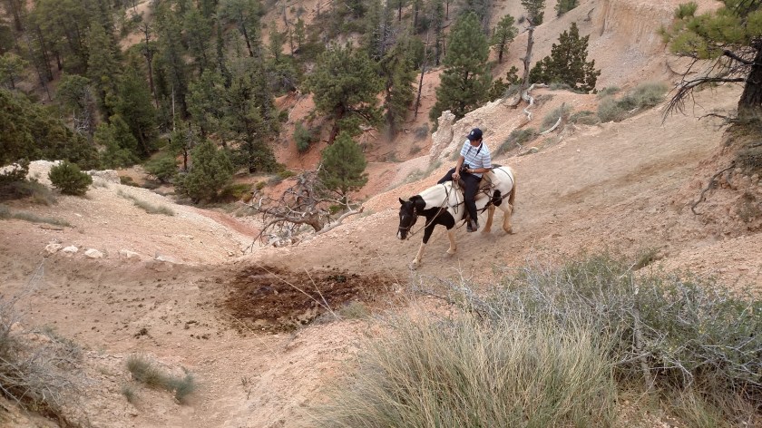 IMG_20180530_140501833