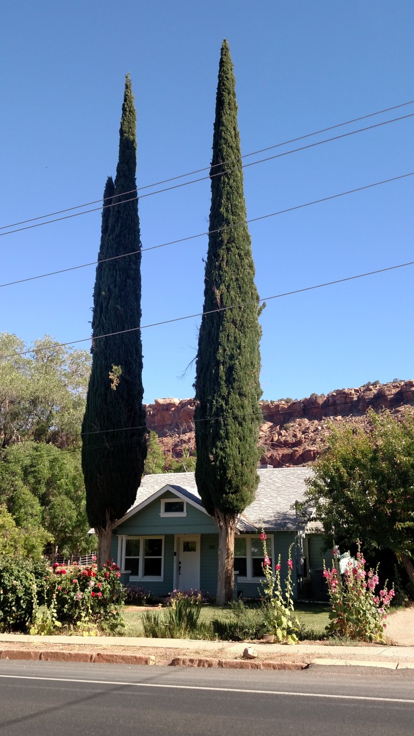 IMG_20180531_093450428