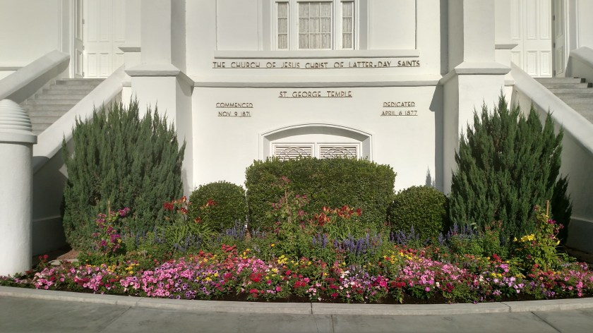 IMG_20180601_084051183_HDR