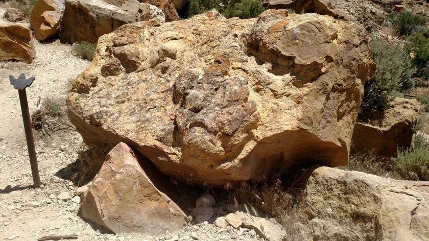 IMG_20180601_130126402