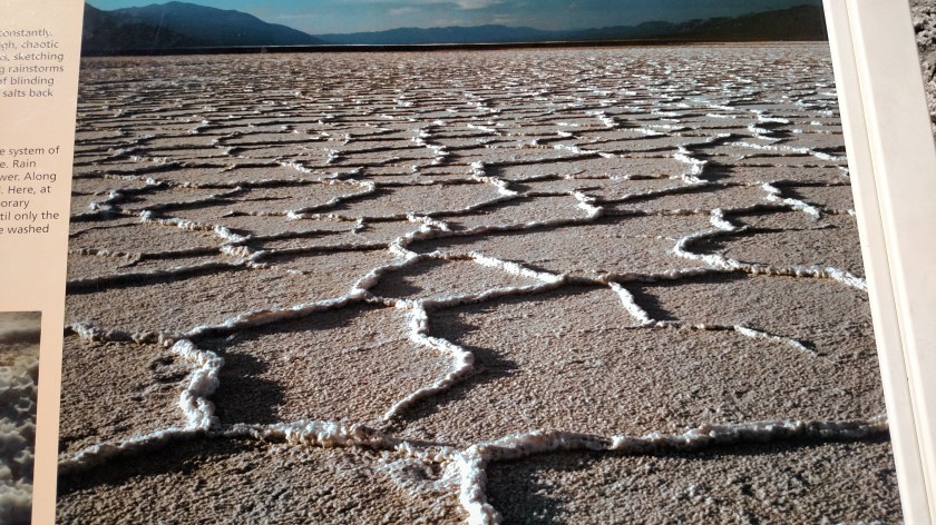 IMG_20180603_150600851