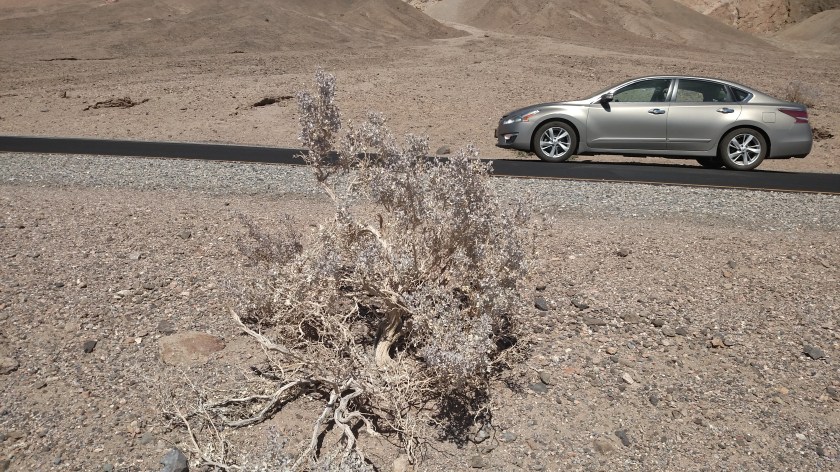 IMG_20180603_152654749