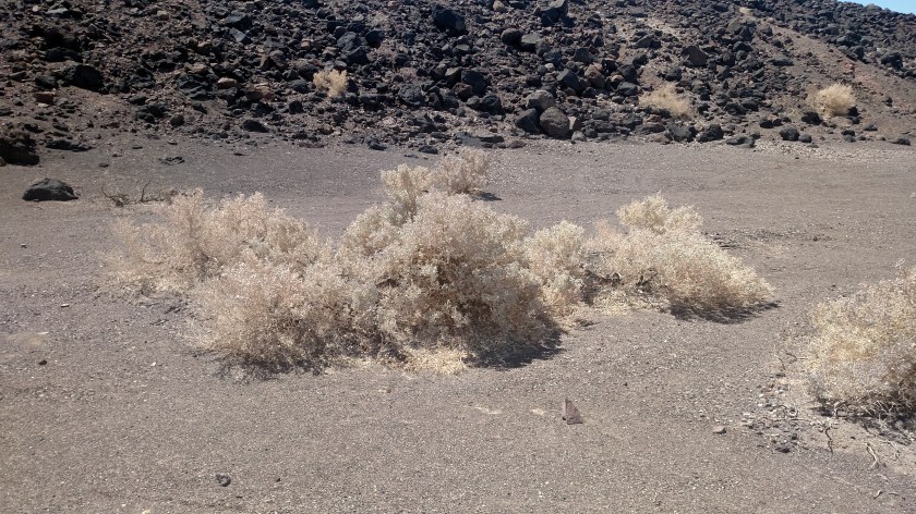 IMG_20180604_112246620