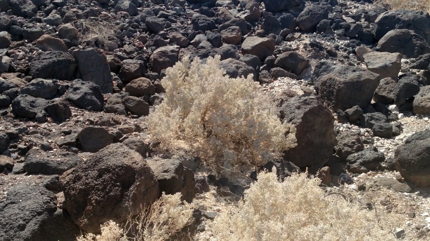 IMG_20180604_112424603