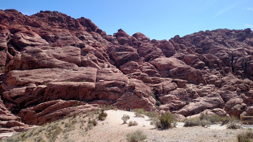 IMG_20180605_101630050