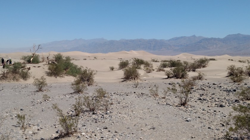 IMG_20180606_103055327