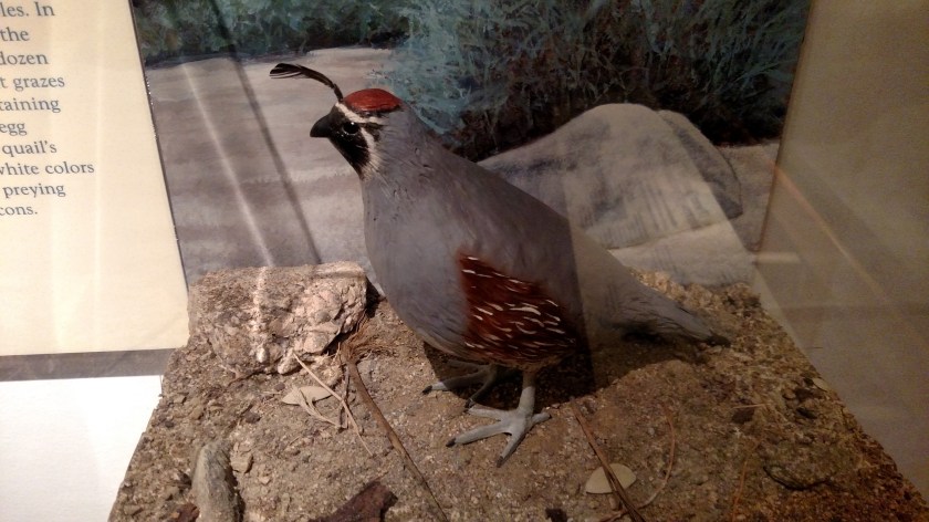 IMG_20180608_113508434