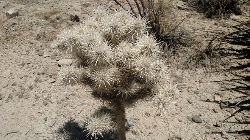 IMG_20180608_123051672