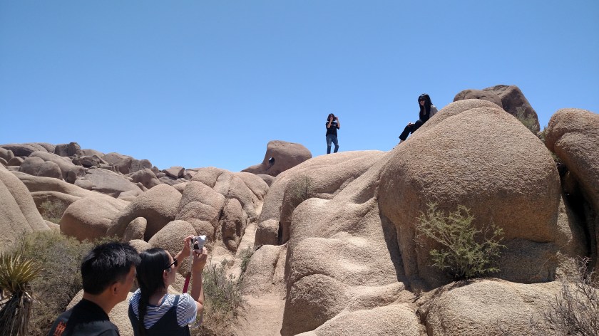 IMG_20180608_124328236