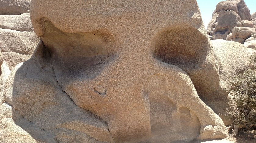 IMG_20180608_124824216