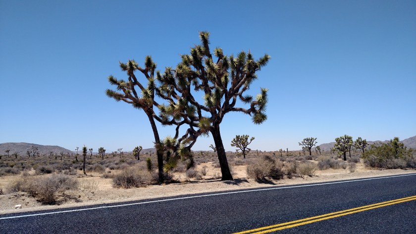 IMG_20180608_125234095