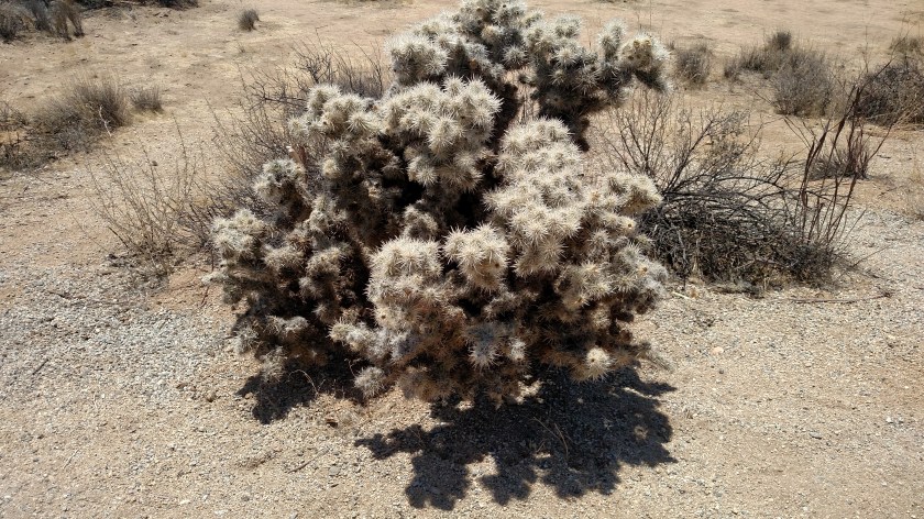 IMG_20180608_125752311