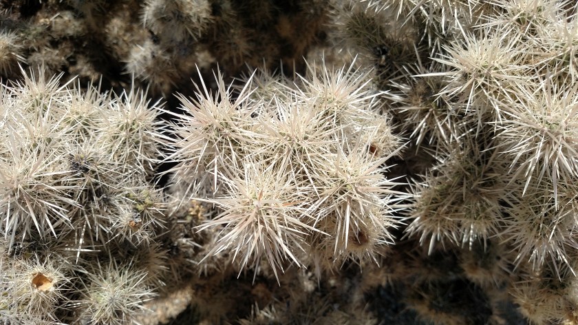 IMG_20180608_125758174