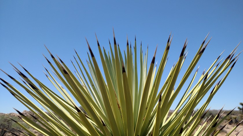 IMG_20180608_131127132