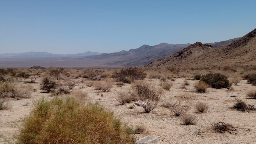 IMG_20180608_132539077