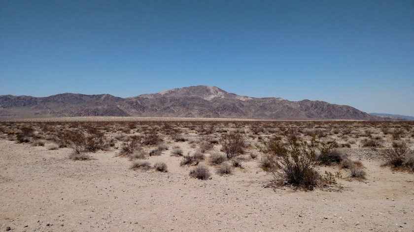 IMG_20180608_133737337