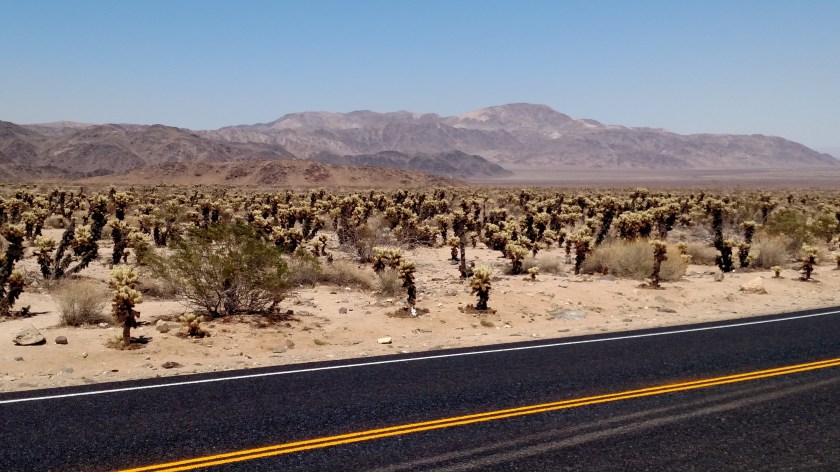 IMG_20180608_145012848