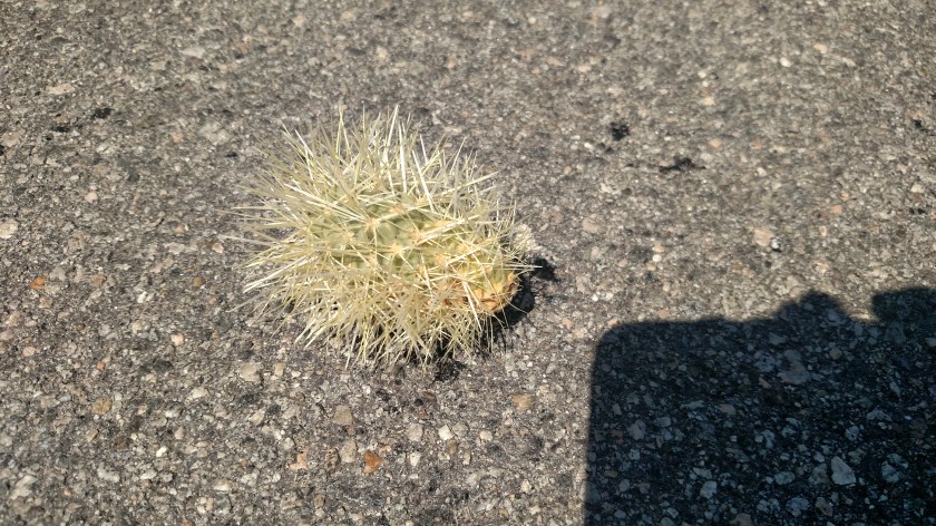 IMG_20180608_145357202