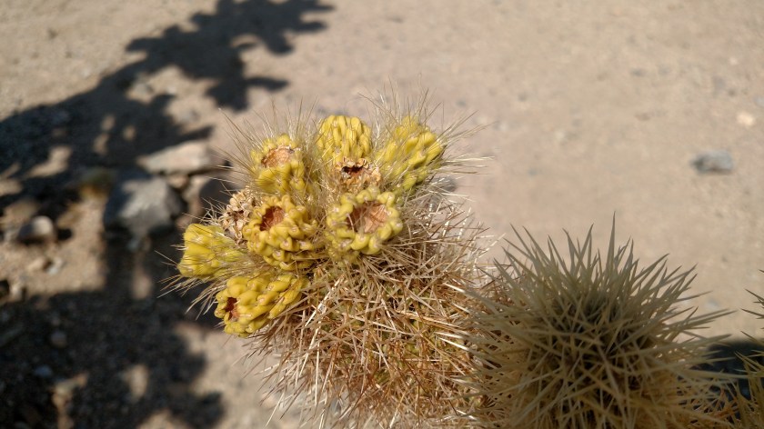 IMG_20180608_145440946