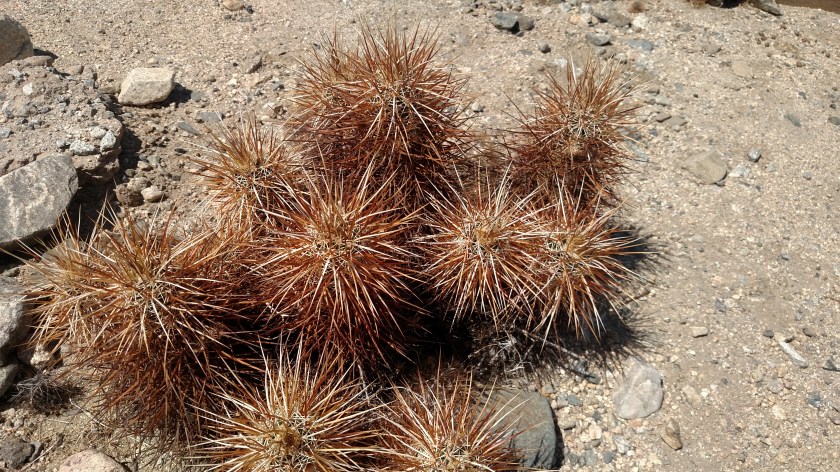 IMG_20180608_145517448