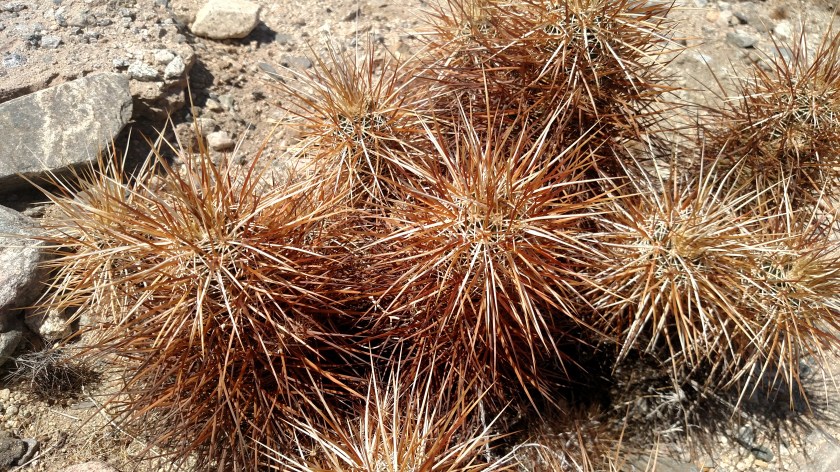 IMG_20180608_145521198