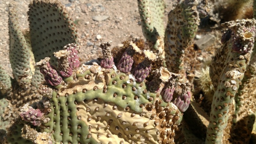 IMG_20180608_150137475