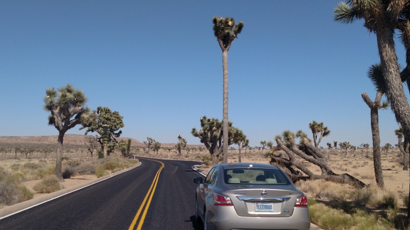 IMG_20180608_153454132