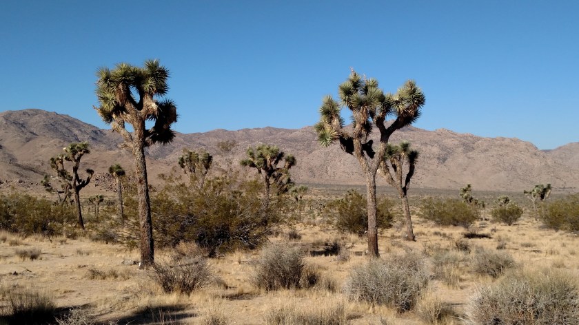 IMG_20180609_080457213