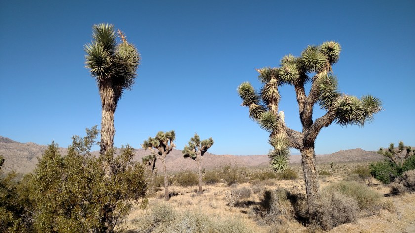 IMG_20180609_080522269