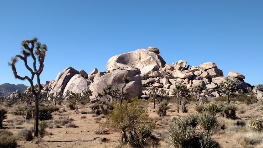 IMG_20180609_083224992