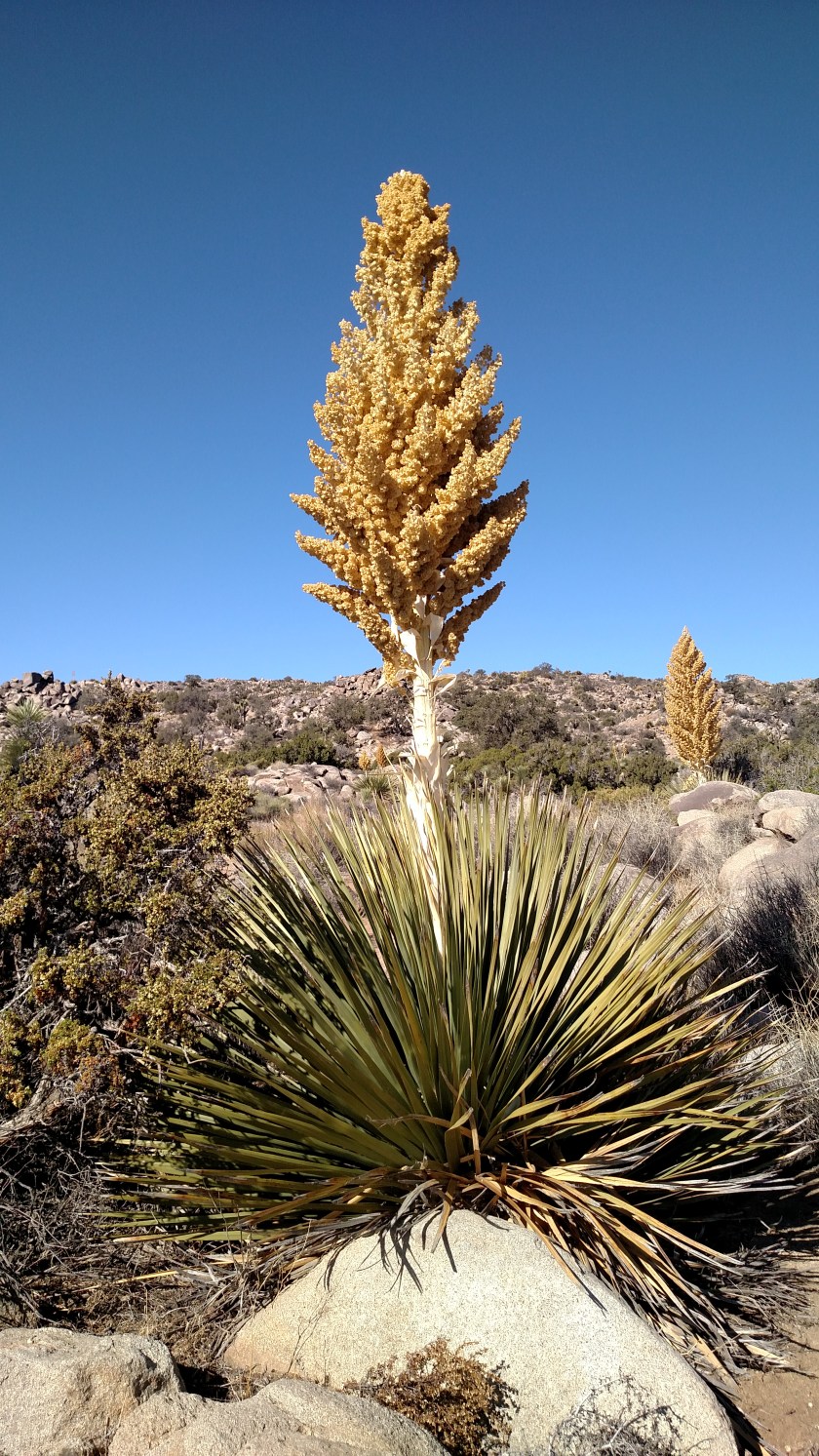 IMG_20180609_084439638