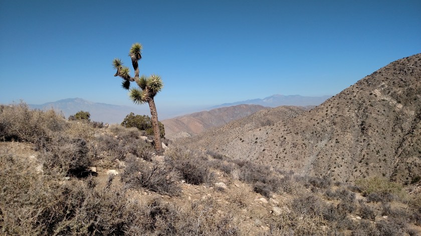 IMG_20180609_091821364