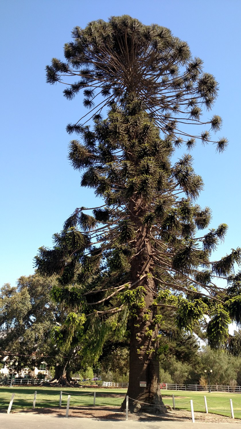 IMG_20180612_155901273