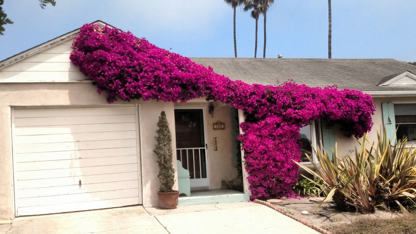 IMG_20180613_134942805