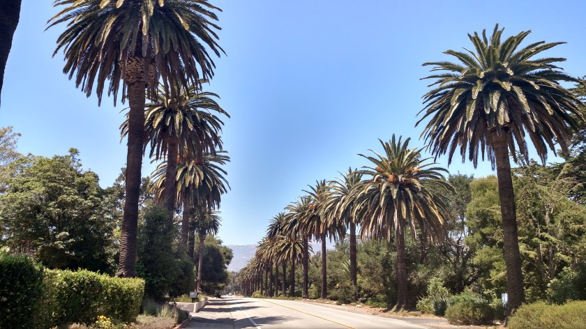 IMG_20180613_141431642_HDR