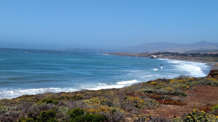 IMG_20180614_113809656